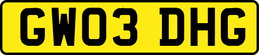 GW03DHG