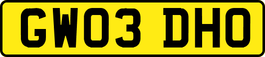 GW03DHO