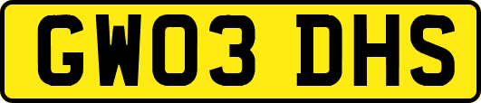 GW03DHS
