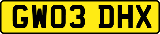 GW03DHX