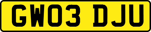 GW03DJU