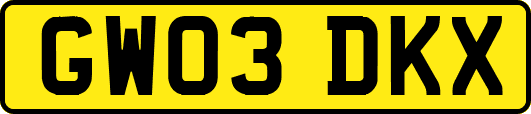 GW03DKX