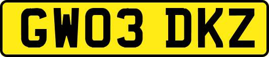 GW03DKZ