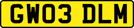 GW03DLM