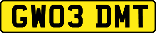 GW03DMT