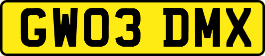 GW03DMX