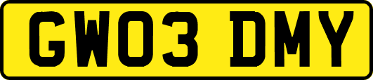 GW03DMY