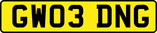 GW03DNG