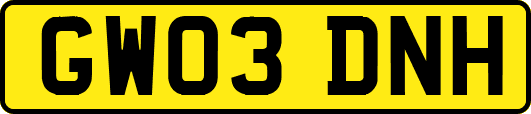 GW03DNH