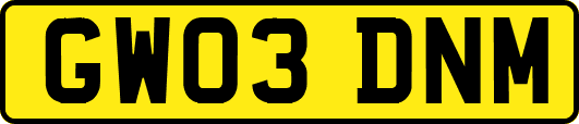 GW03DNM