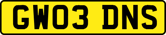 GW03DNS