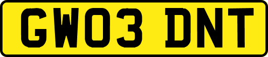 GW03DNT
