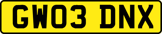 GW03DNX