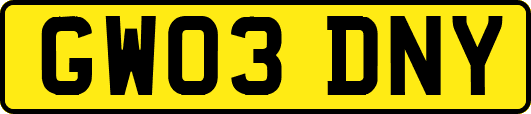 GW03DNY