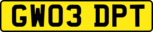 GW03DPT