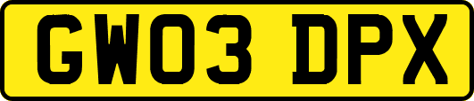 GW03DPX