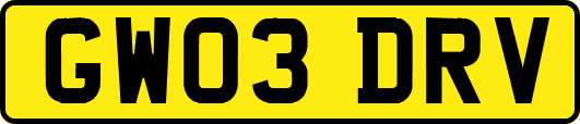 GW03DRV