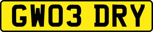 GW03DRY