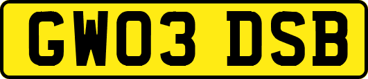 GW03DSB