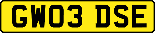 GW03DSE