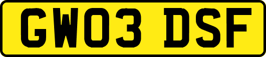 GW03DSF