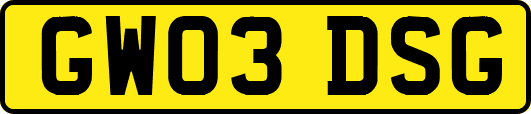 GW03DSG