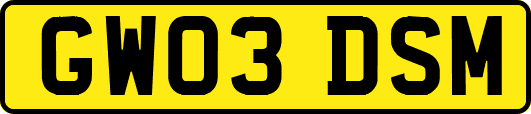 GW03DSM