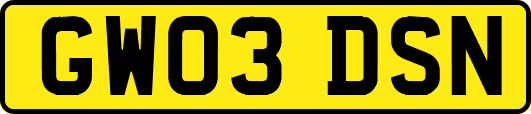 GW03DSN