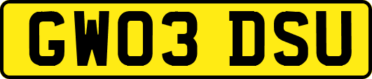 GW03DSU