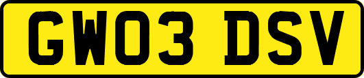 GW03DSV