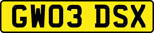 GW03DSX