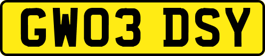GW03DSY