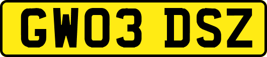 GW03DSZ