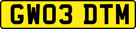 GW03DTM