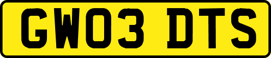 GW03DTS