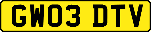 GW03DTV