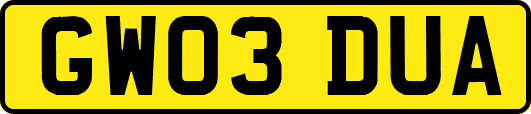 GW03DUA