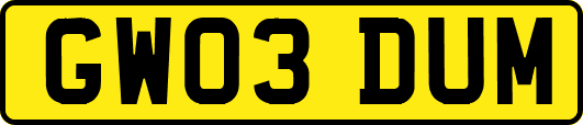 GW03DUM