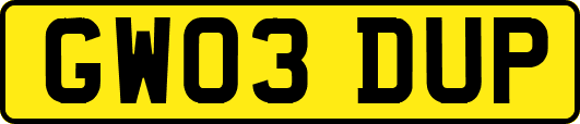 GW03DUP