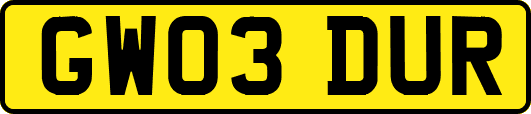 GW03DUR