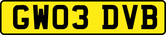 GW03DVB