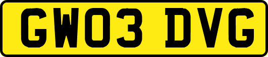 GW03DVG