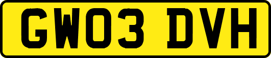 GW03DVH