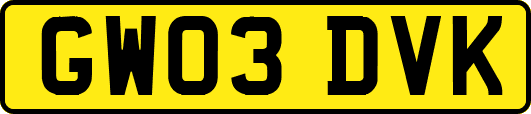 GW03DVK