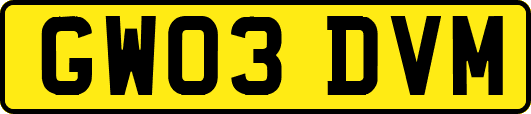 GW03DVM