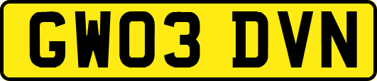GW03DVN