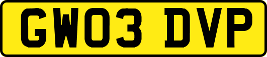 GW03DVP