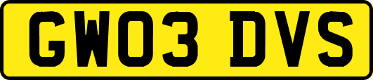 GW03DVS