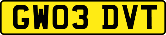 GW03DVT