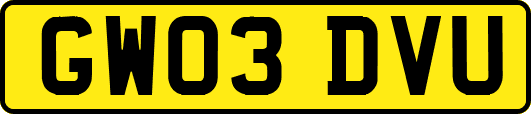 GW03DVU